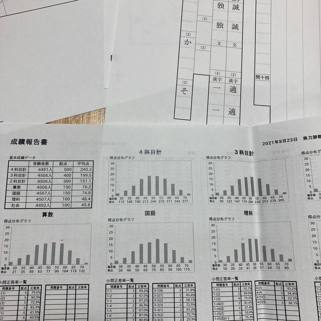 SAPIX4年入室・マンスリー・組分け・復習・サピックスオープン1年分(13回)