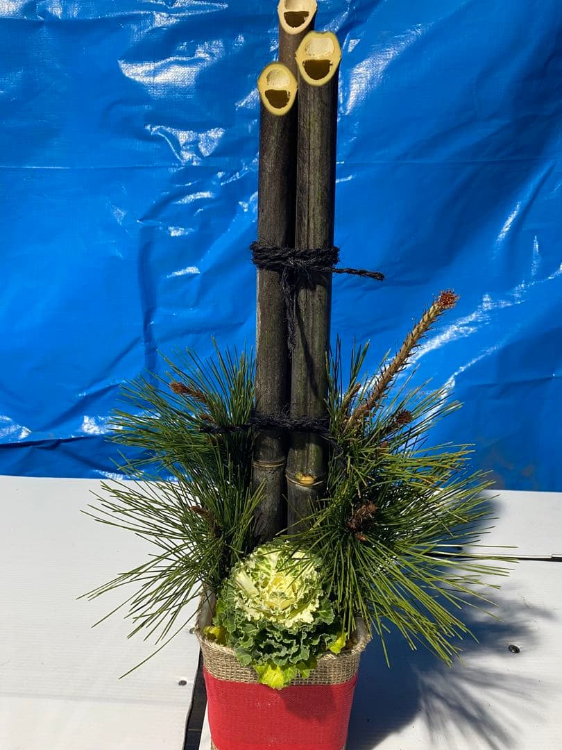 すからざページ