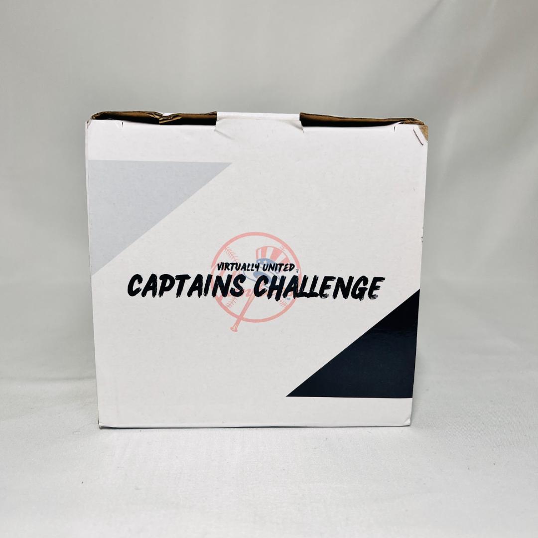 【世界500体限定・非売品】アーロン・ジャッジwith Dogs ボブルヘッド