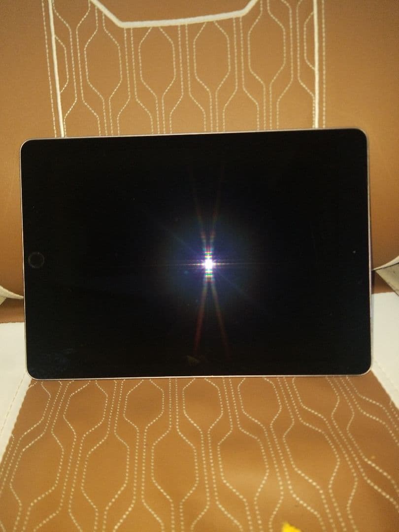 【即日発送、気持ち値下げ可】iPad Pro9,7　本体のみ。32GB