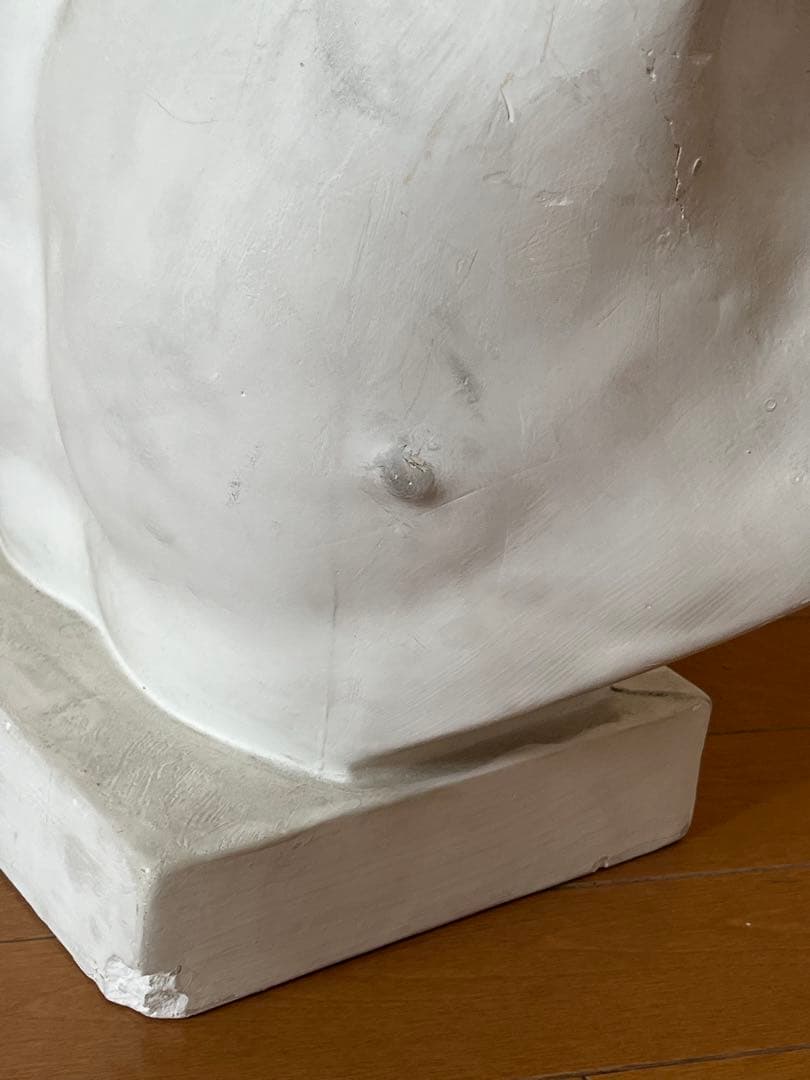 石膏像　ボルゲーゼ　闘士　美大受験