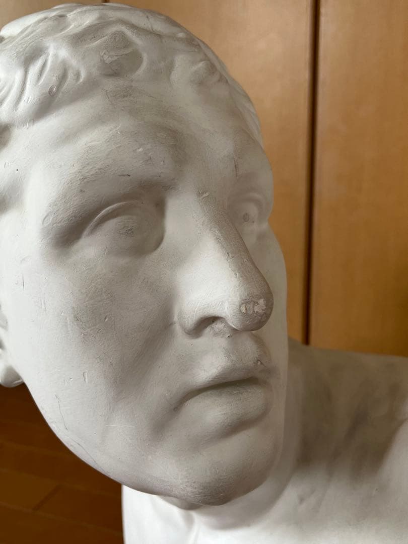 石膏像　ボルゲーゼ　闘士　美大受験