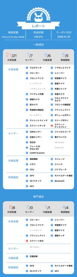 Y*n様 動作確認済み iPhone 12 Pro Max 256GB バッテリ