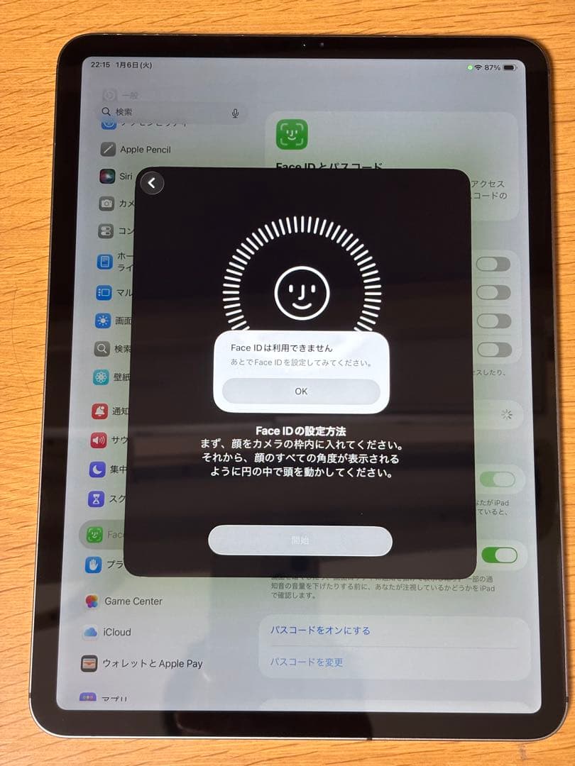 Apple Ipad Pro 11インチ256GB