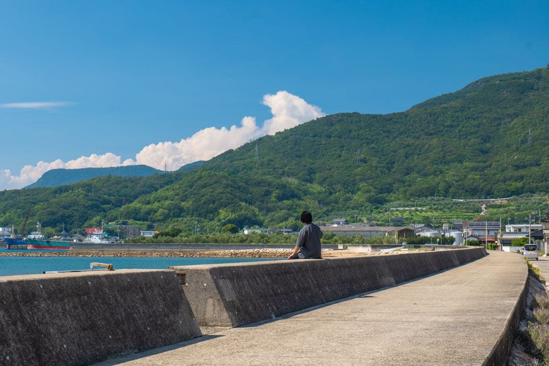 LUMIX S 20-60mm ズームレンズ Lマウント