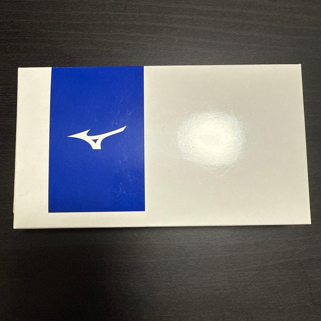 Mizuno 競パン ブルー FINA認証 Mサイズ