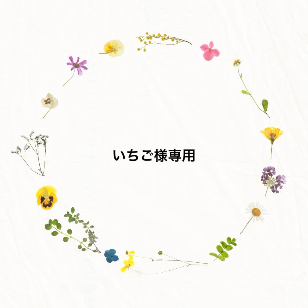 〈専用〉入園入学セット　恐竜柄