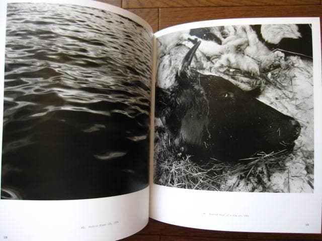 Speed of Life　Peter Hujar　 ピーター・ヒュージャー