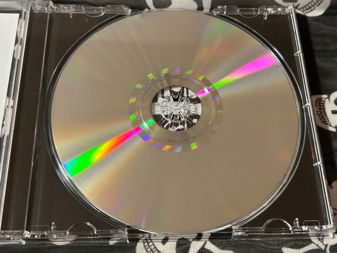 NORTH BRONX ALLIANCE／BEYOND THE MADNESS