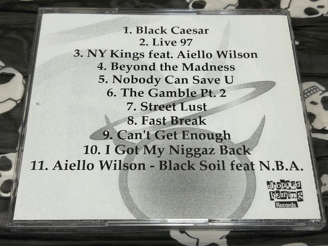 NORTH BRONX ALLIANCE／BEYOND THE MADNESS