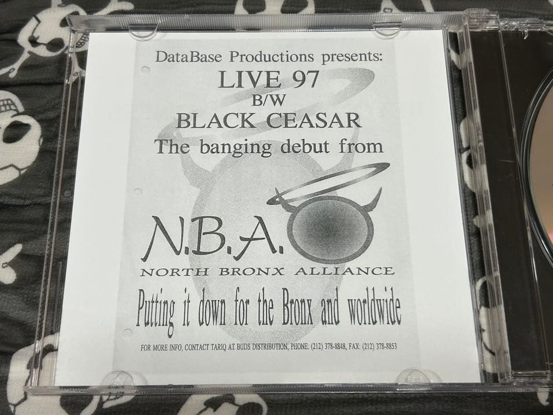 NORTH BRONX ALLIANCE／BEYOND THE MADNESS