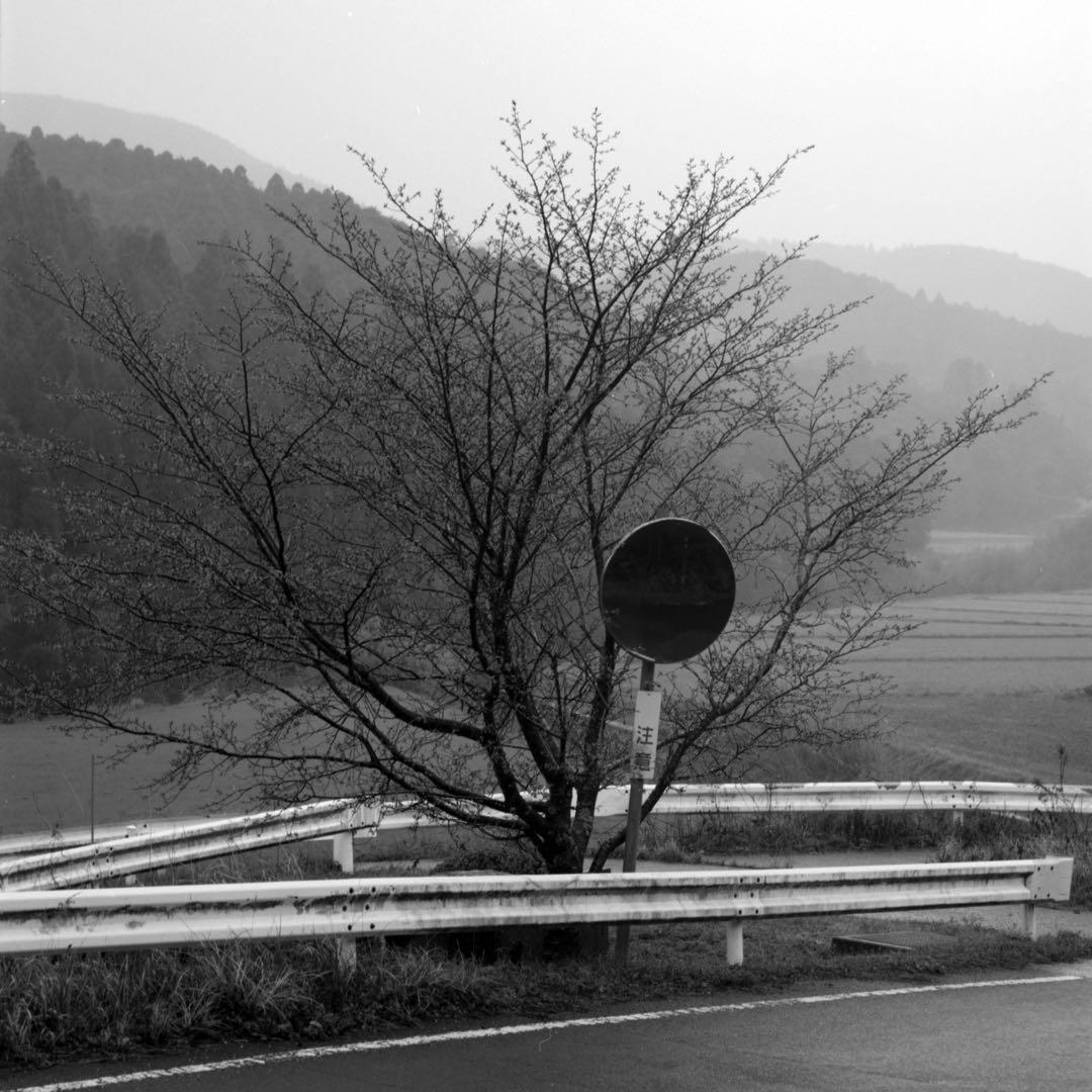 HASSELBLAD 500C/M + Planar 80 F2.8その他