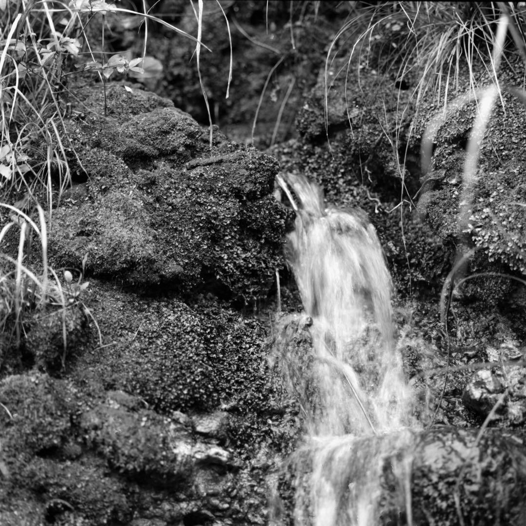 HASSELBLAD 500C/M + Planar 80 F2.8その他