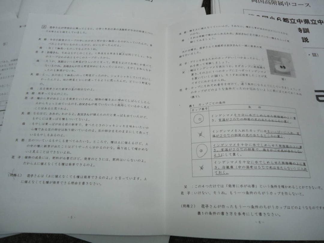 ena 2019年度 6年　都立中　両国高付属中コース　後期日曜特訓/直前/正月