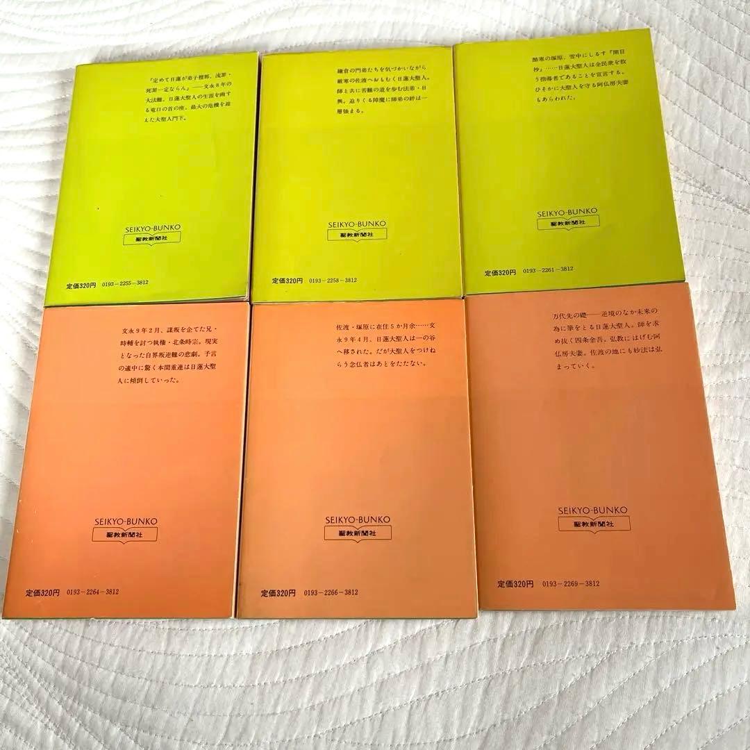 小説 日蓮大聖人