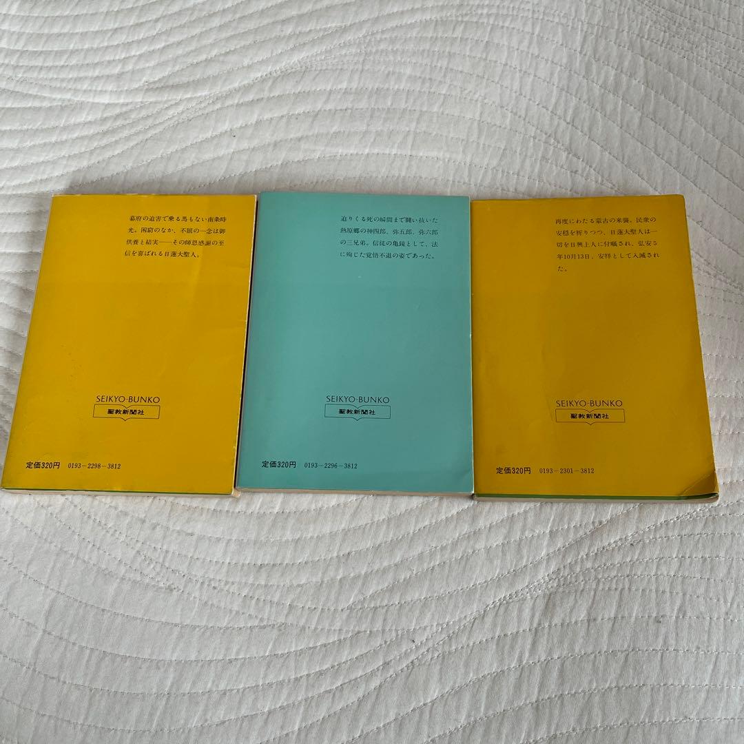 小説 日蓮大聖人