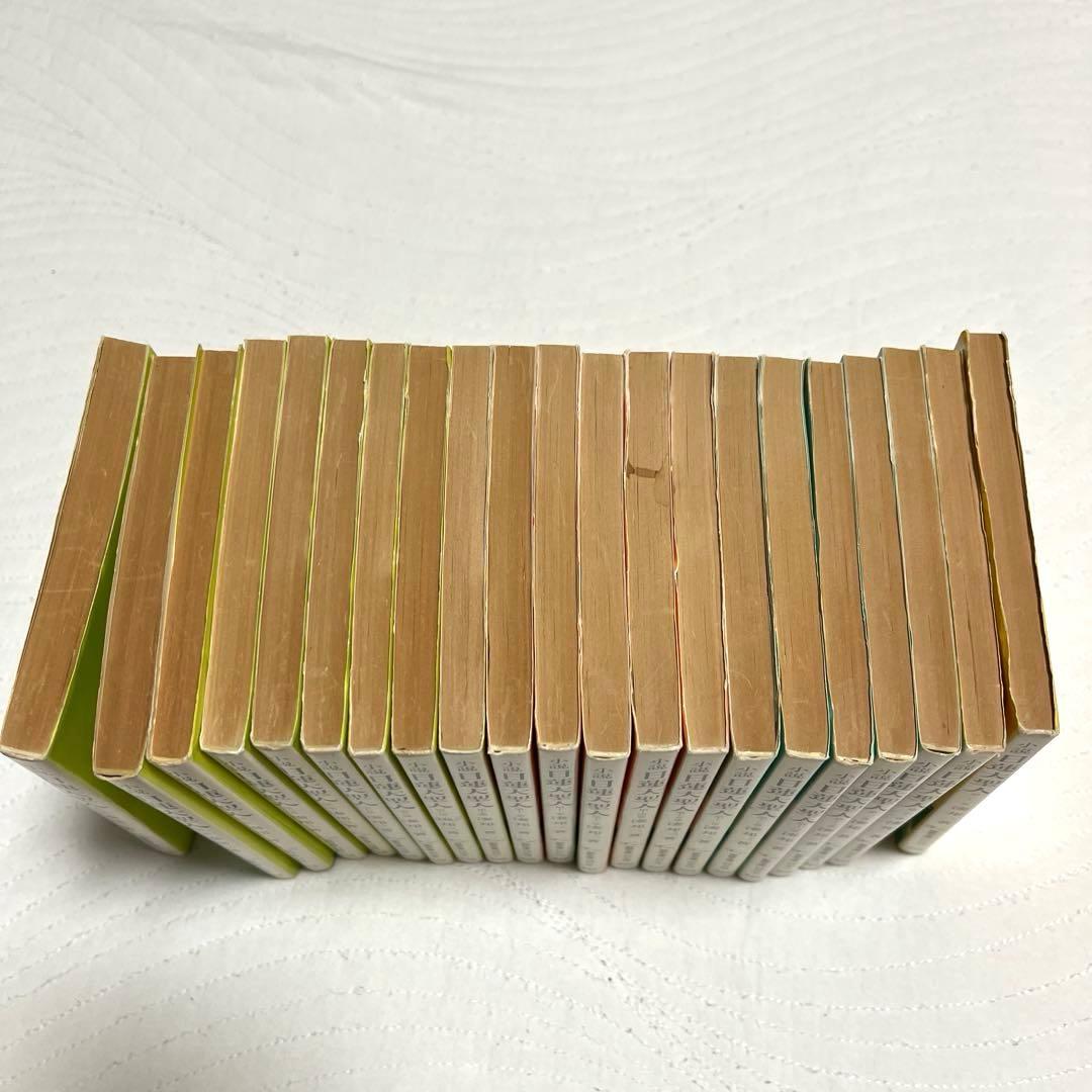 小説 日蓮大聖人