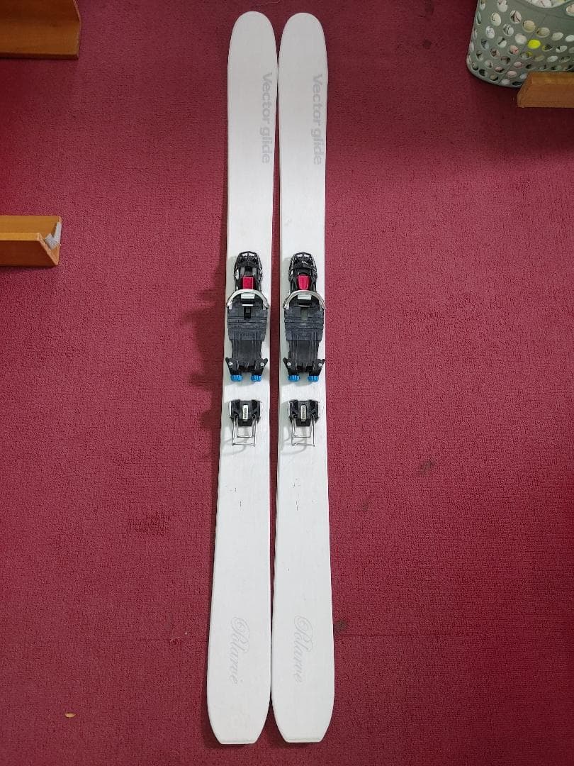スキー 175 Vector Glide Polarve