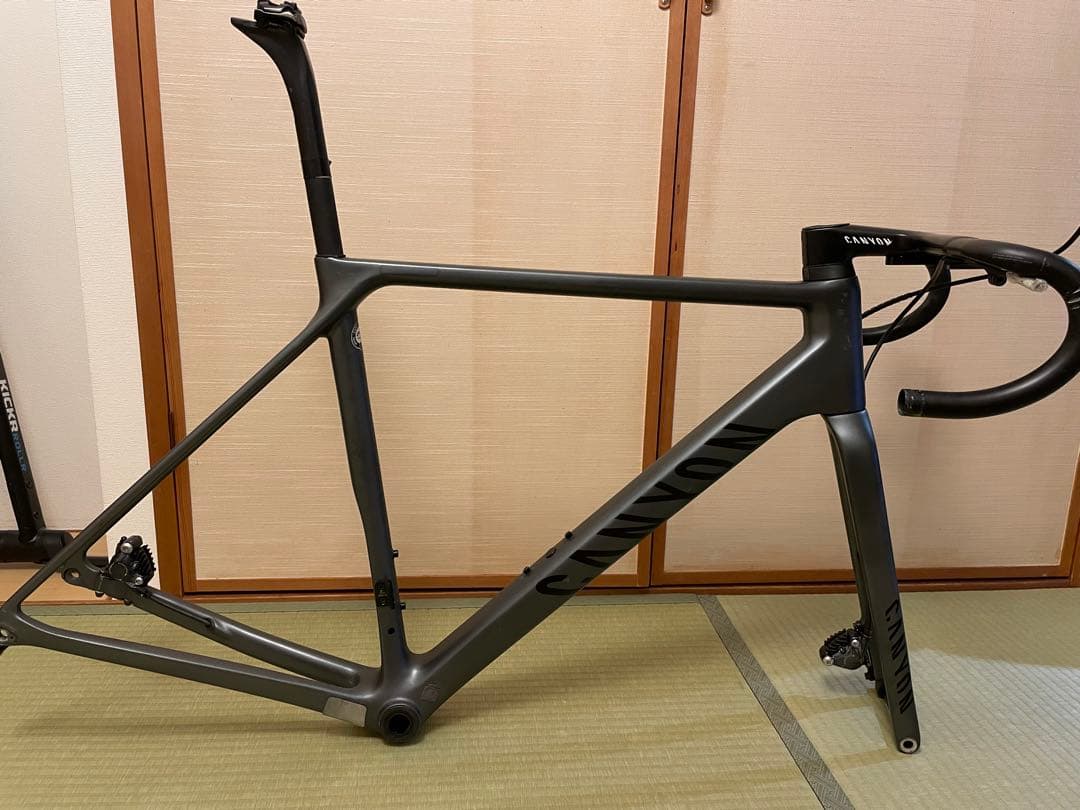 CANYON ULTIMATE CF SLX 再塗装　美品　最終値下げ