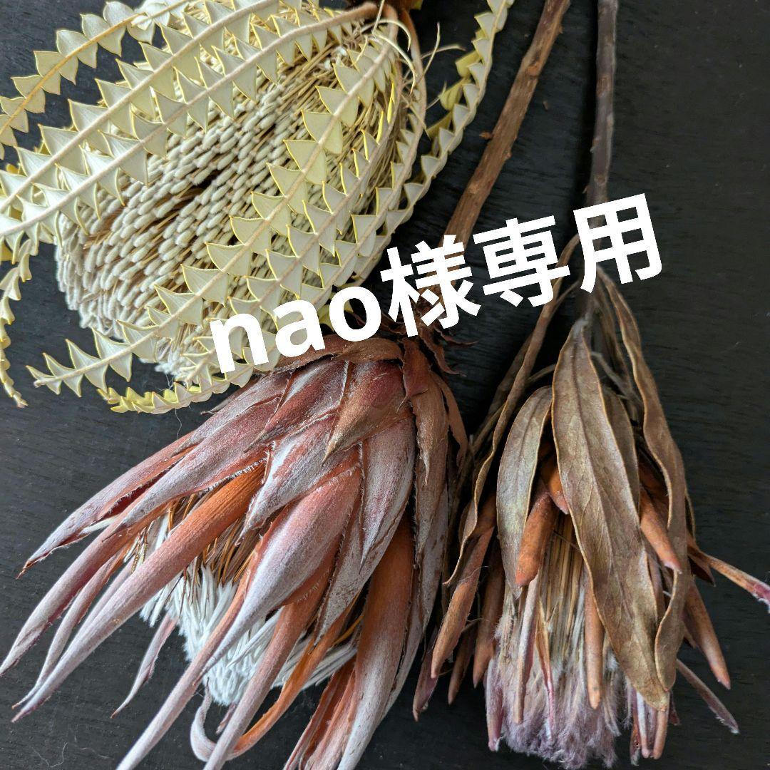 ドライフラワーハーフリース