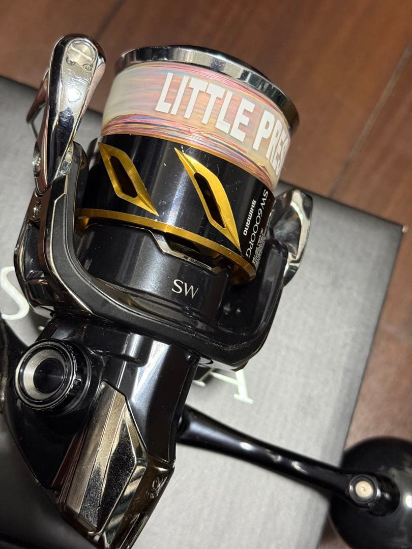 20 ステラ SW6000PG