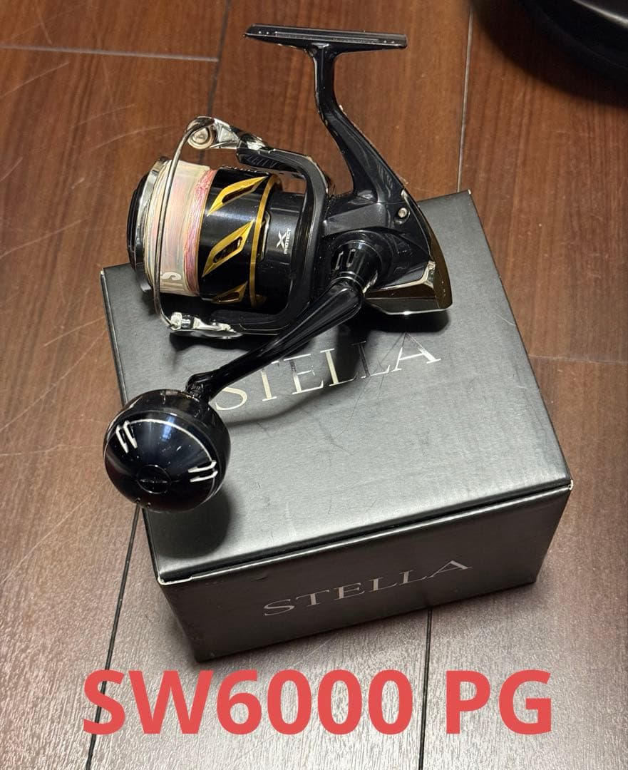 20 ステラ SW6000PG