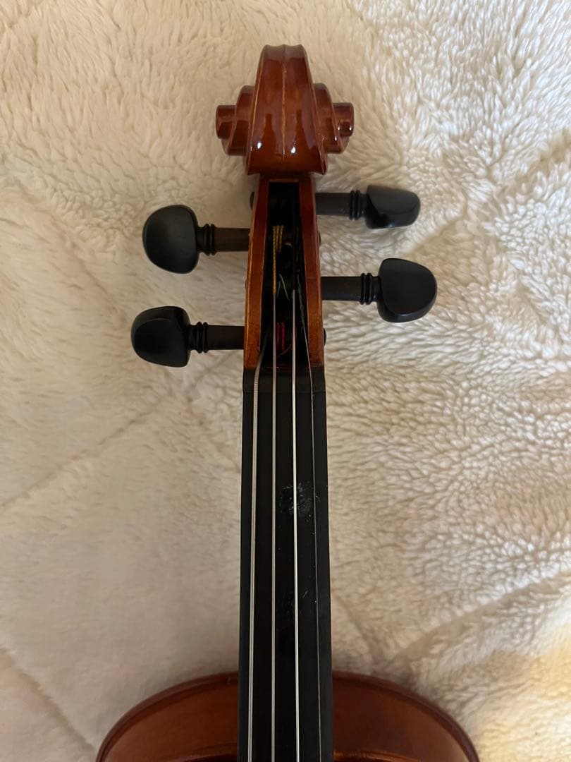 お値下げ⭐︎Eastman VL80 バイオリンセット　1/8