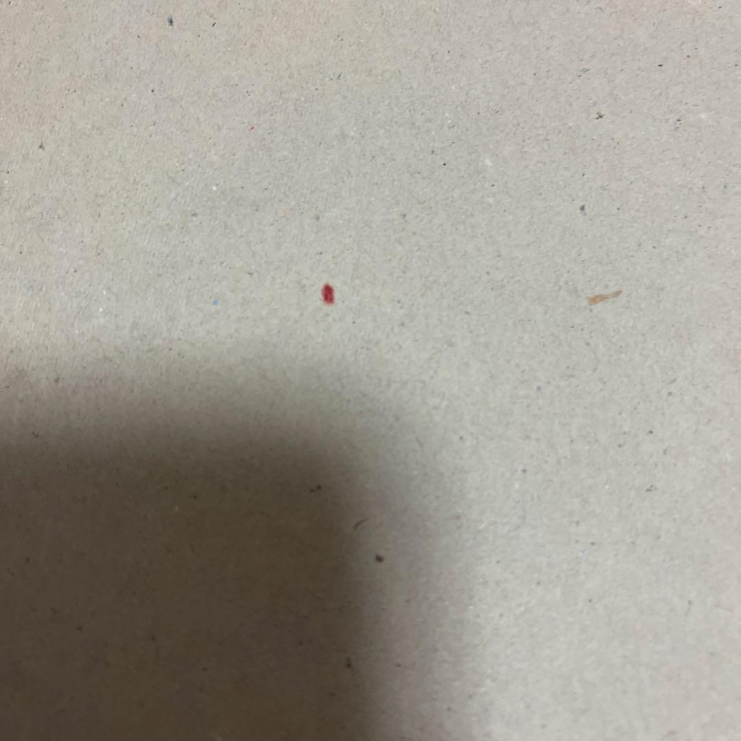 パオロ・ロヴェルシ Paolo Roversi写真集