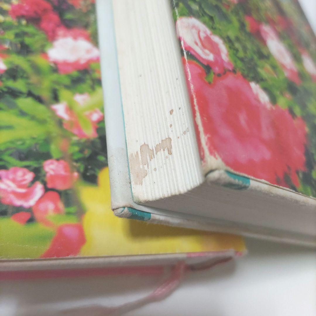 小説　キャンディ・キャンディ　FINAL STORY