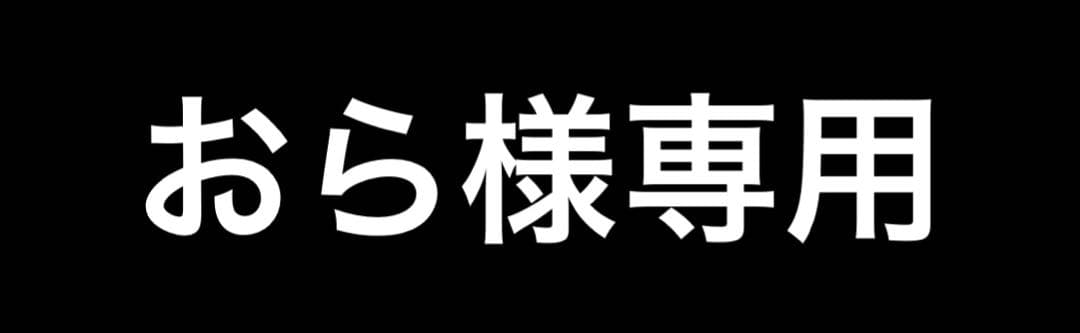 Alpha ma-1フライトジャケット XS