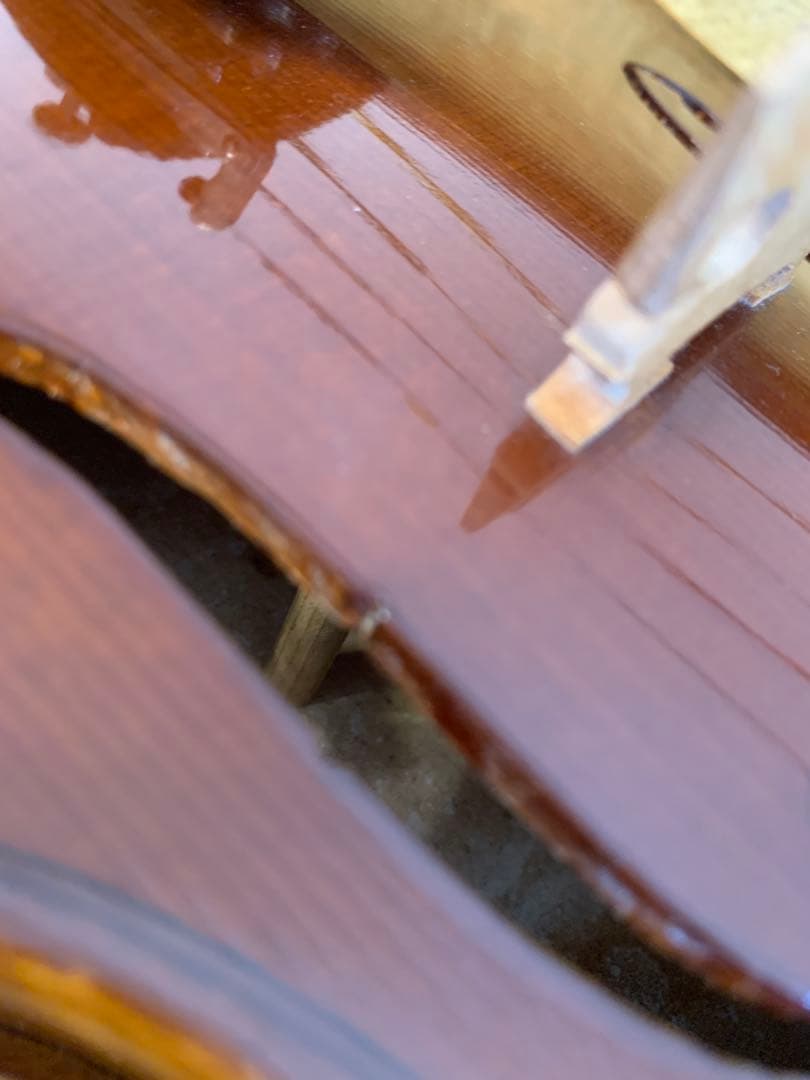 カールヘフナーKarl Hofnerバイオリン KH165 メンテ済みケース付き