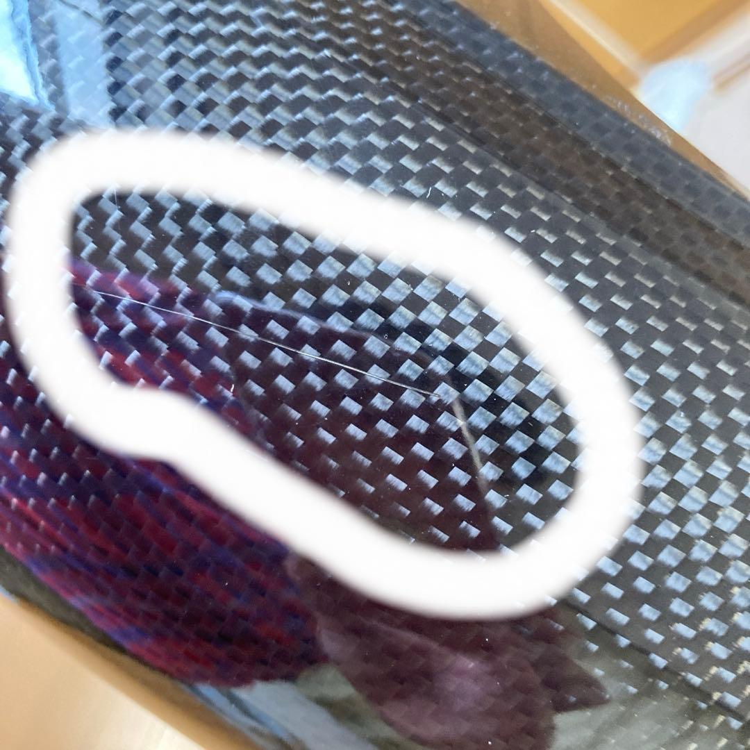 カーボンフロントフェンダー　ダイナ　スポーツスター