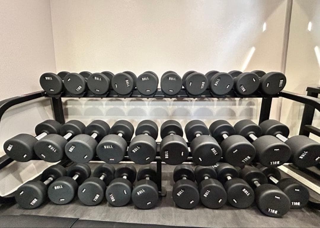 【すぎ】BULLダンベル12〜30kgラック➕マットset