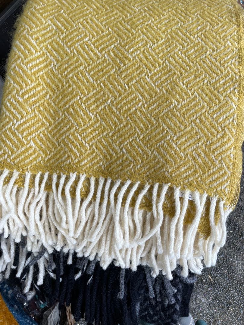 Q*n様 【クリスマスSALE】新品クリッパン/samba yellow ブラン