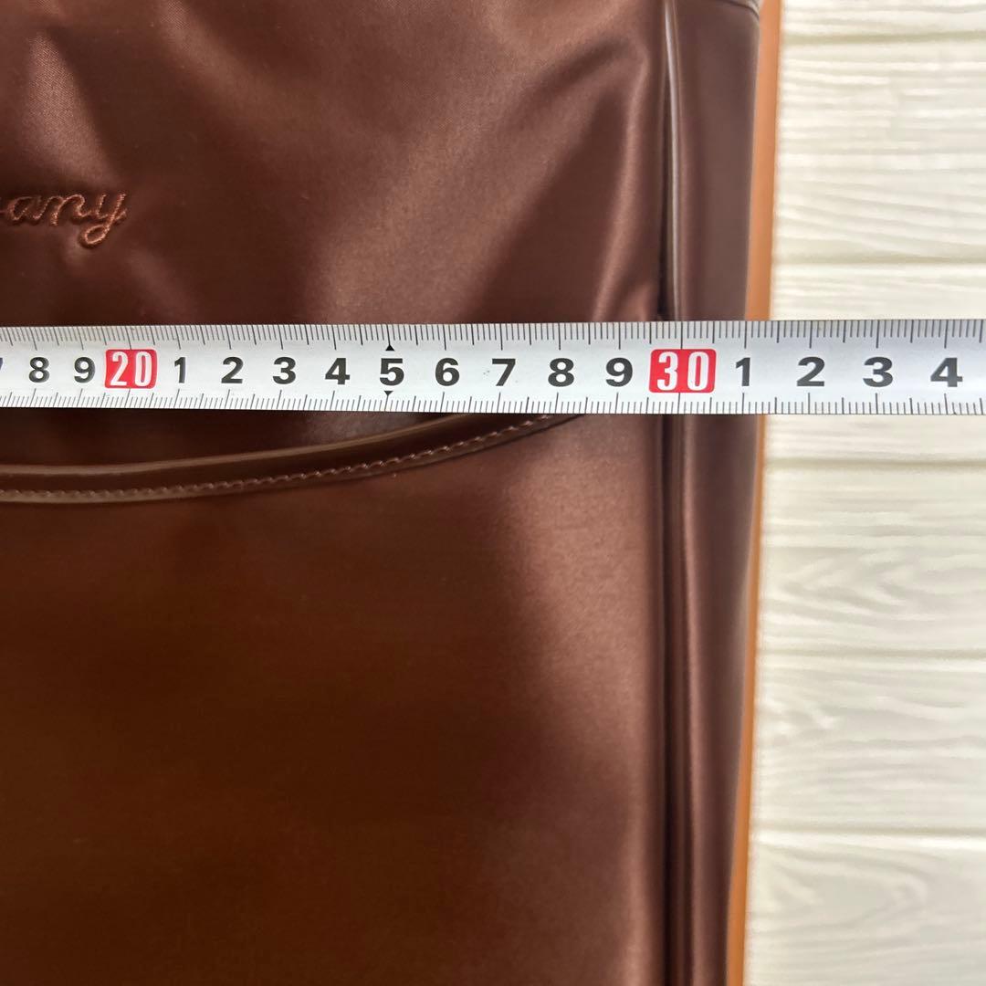 新品未使用　スワニー　ブリル お買い物キャリー 日帰り　キャリーバッグ　18L