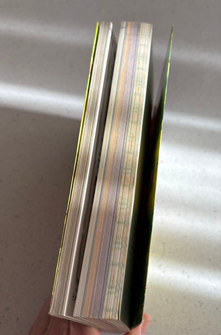 マジカルバケーションコンプリートガイド