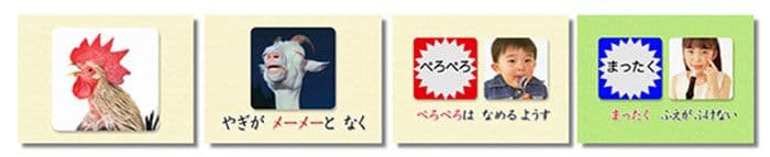 言語訓練　28巻 星みつる式 フラッシュDVD教材教材+童話聴きとり　全29本