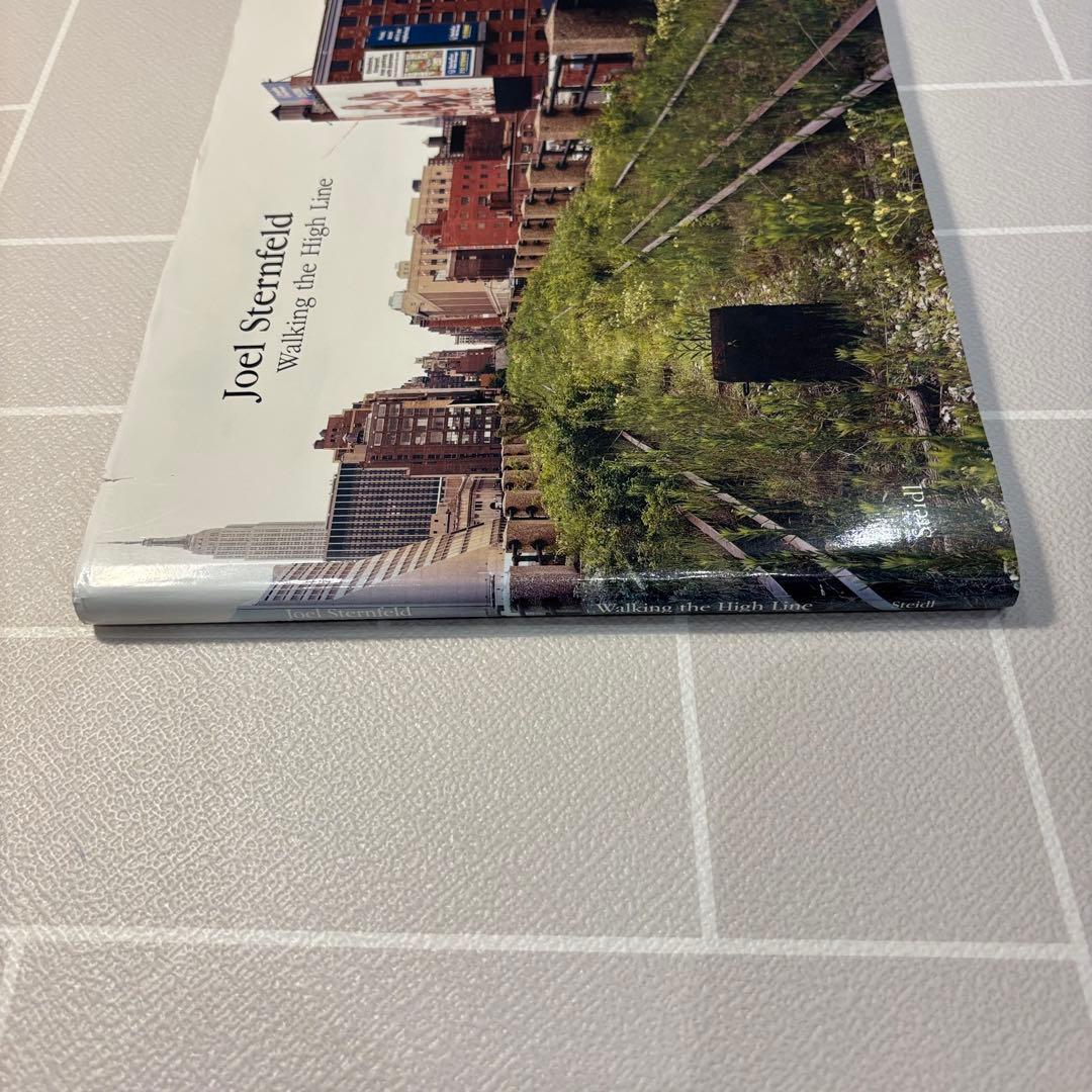 【名作】ジョエル・スタンフェルド 『Walking the High Line』