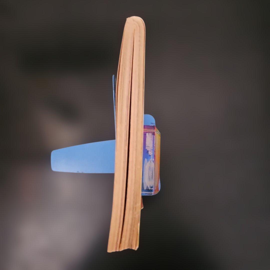 劇画 猛虎魂 1985年 タイガース優勝記念版　週刊アサヒ芸能増刊　１１月６日号