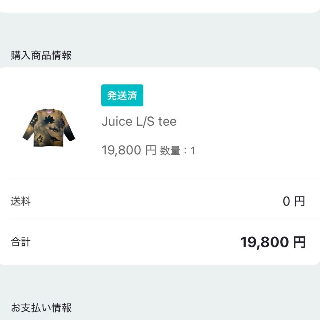 Dinoworks ブリーチ加工　ロングTシャツ