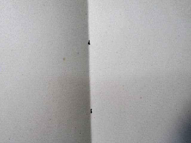 ☆菊花丸型封緘はがき　3銭 半円切り抜き 未使用　1912～1917逓信省発行☆