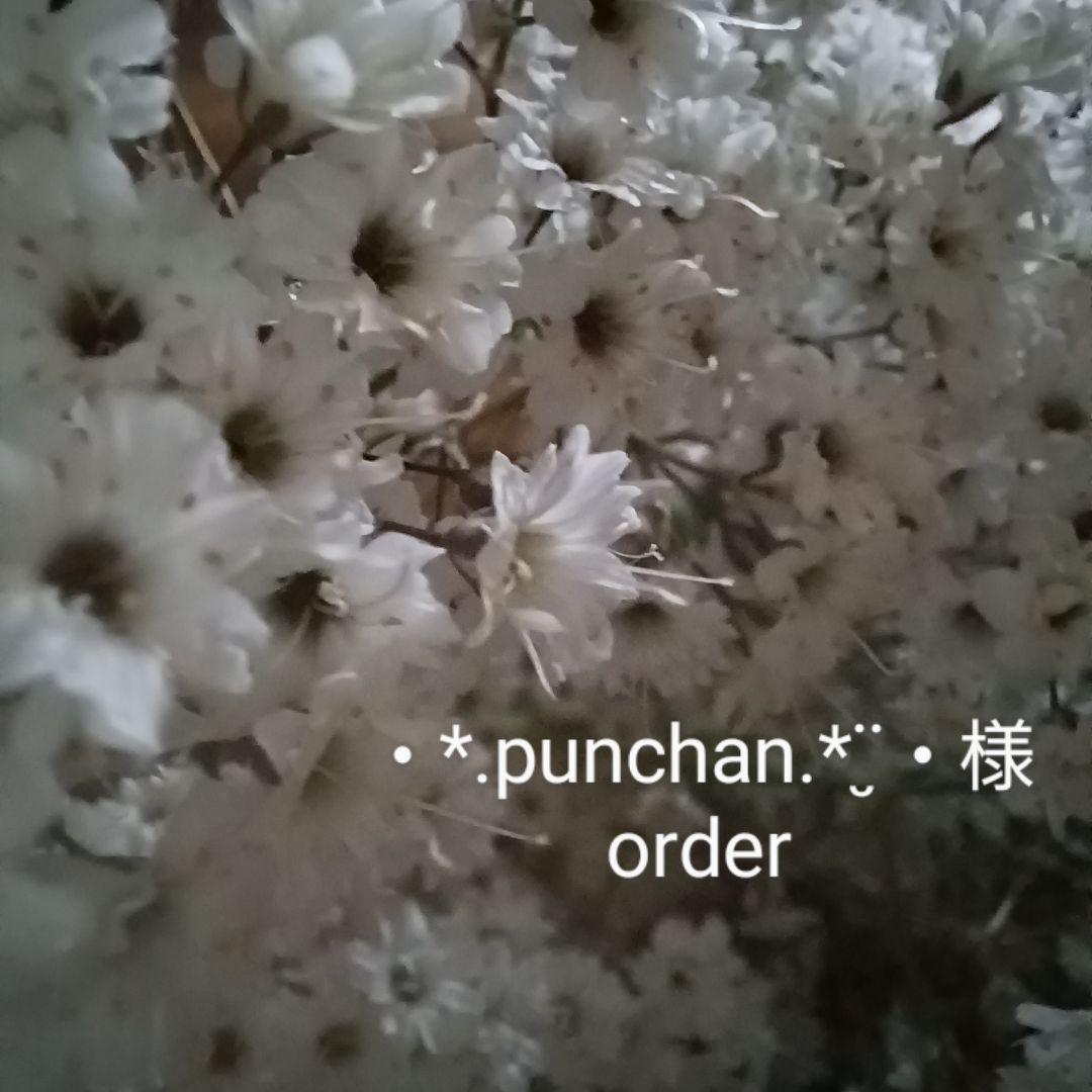 ・*.punchan‪‪‪.*¨̮・ 様 【order】ドライフラワー リース