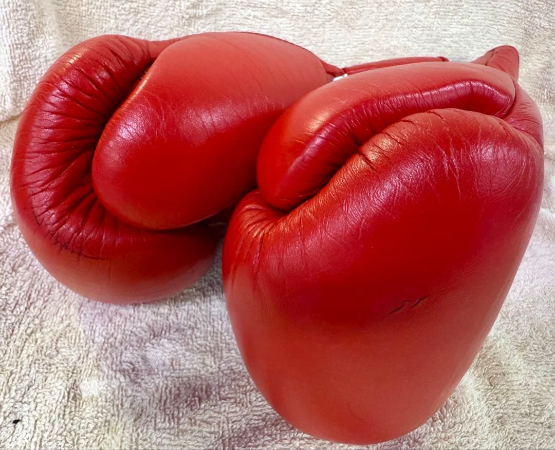 Winning ボクシンググローブ 8 oz 赤