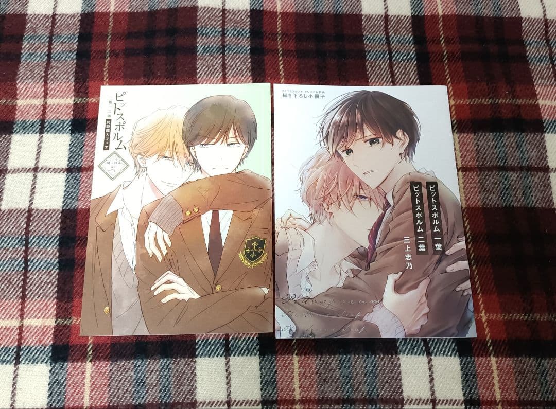 ピットスポルム　三上志乃　特典のみ