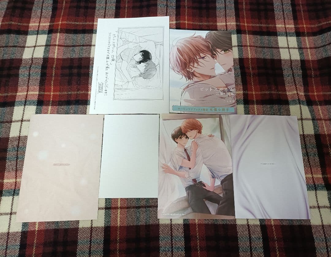 ピットスポルム　三上志乃　特典のみ