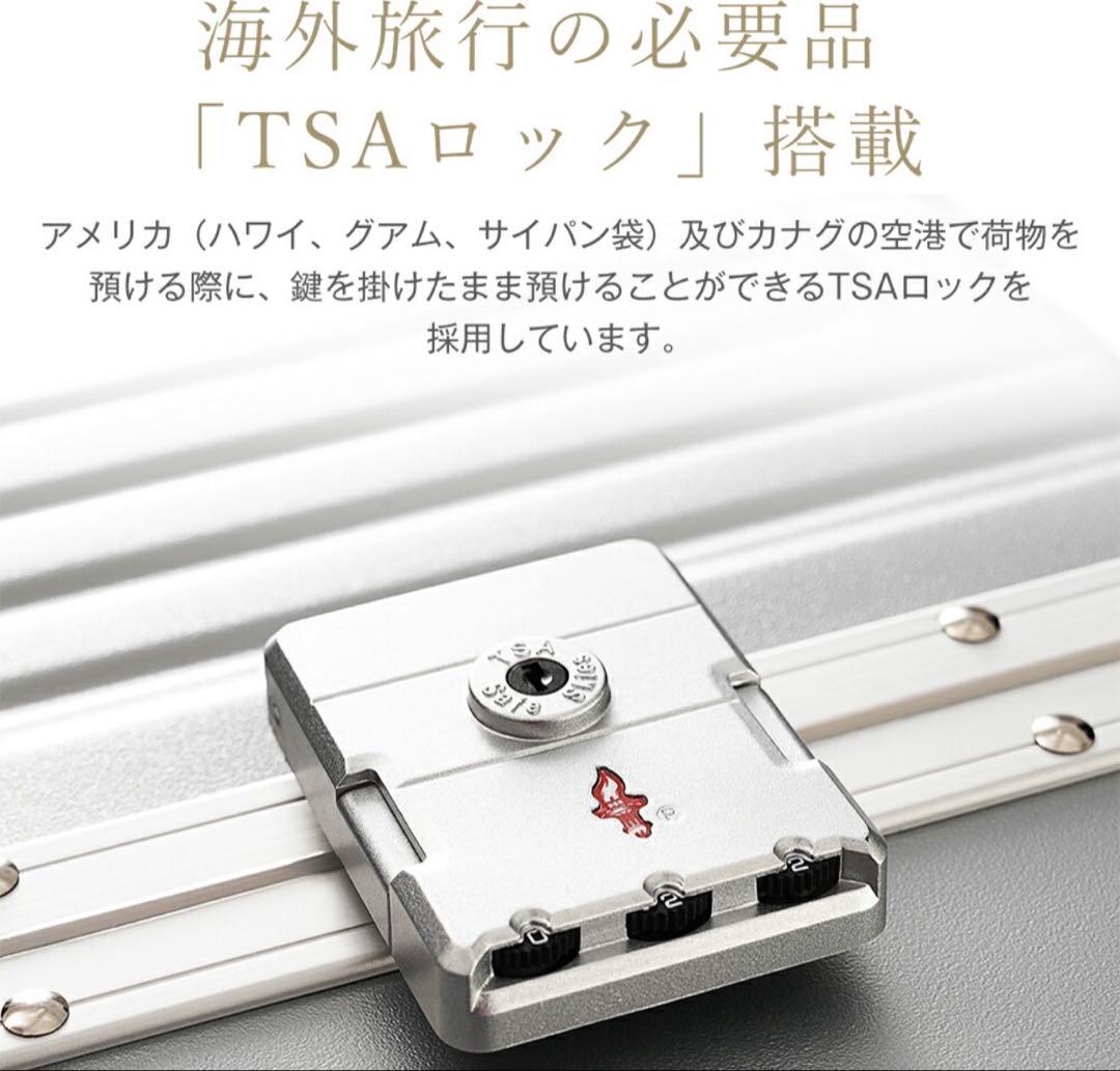 定価19980円 新品未使用 ミントグリーン Lサイズ キャリーケース