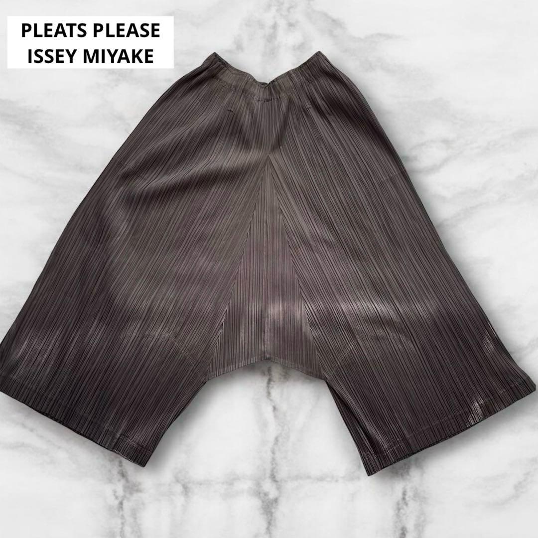 【プリーツプリーズ】パンツ　3 ISSEY MIYAKE