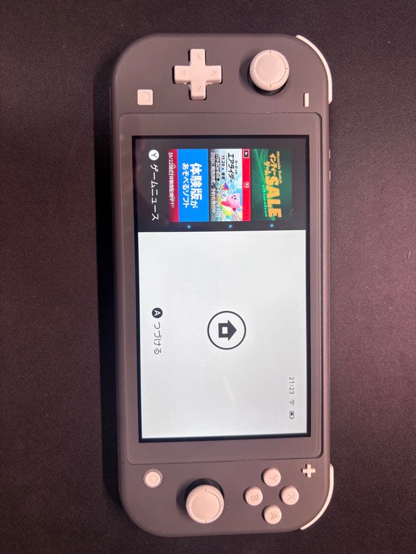 Nintendo Switch Lite グレー 本体と充電器、カバーのみ