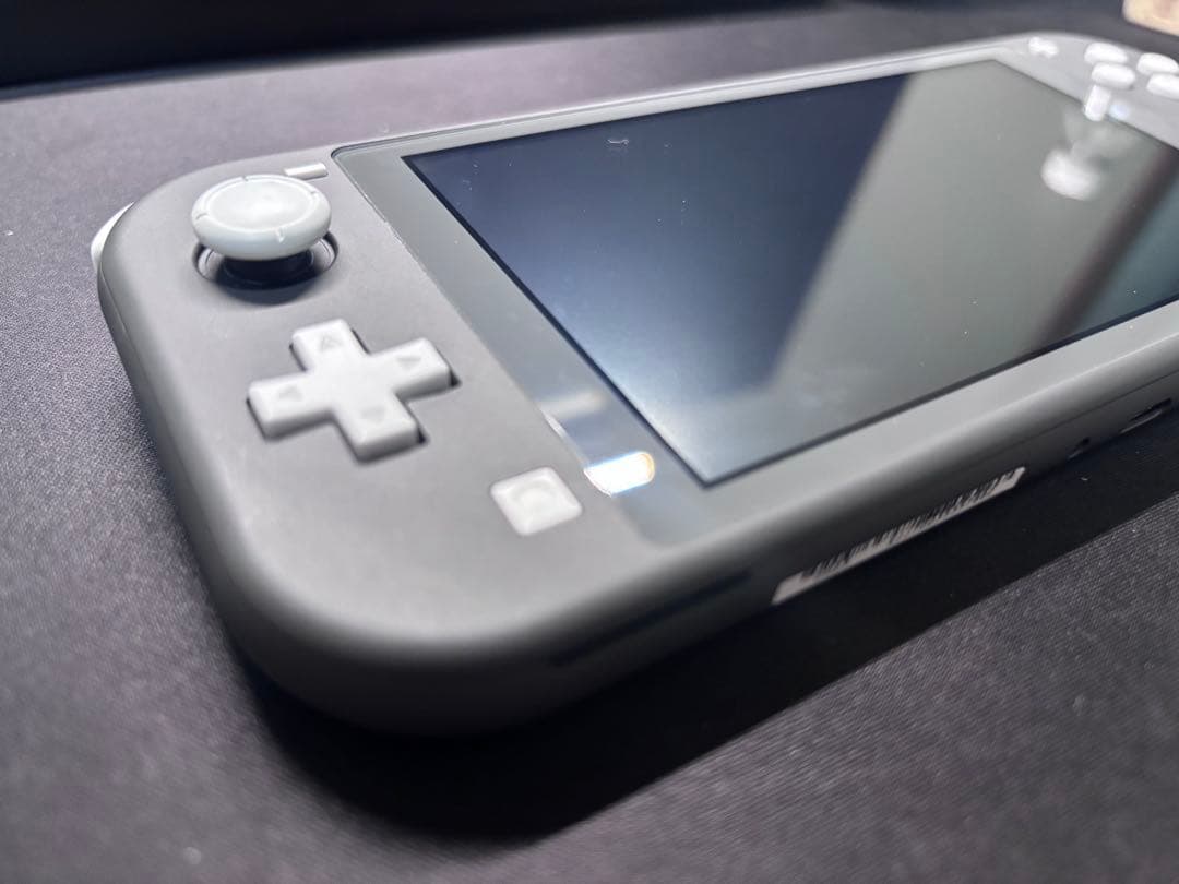 Nintendo Switch Lite グレー 本体と充電器、カバーのみ