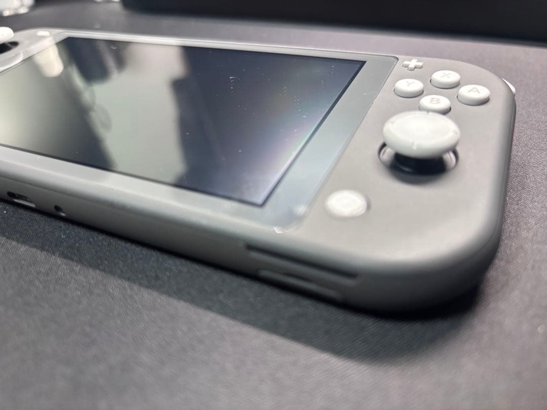 Nintendo Switch Lite グレー 本体と充電器、カバーのみ